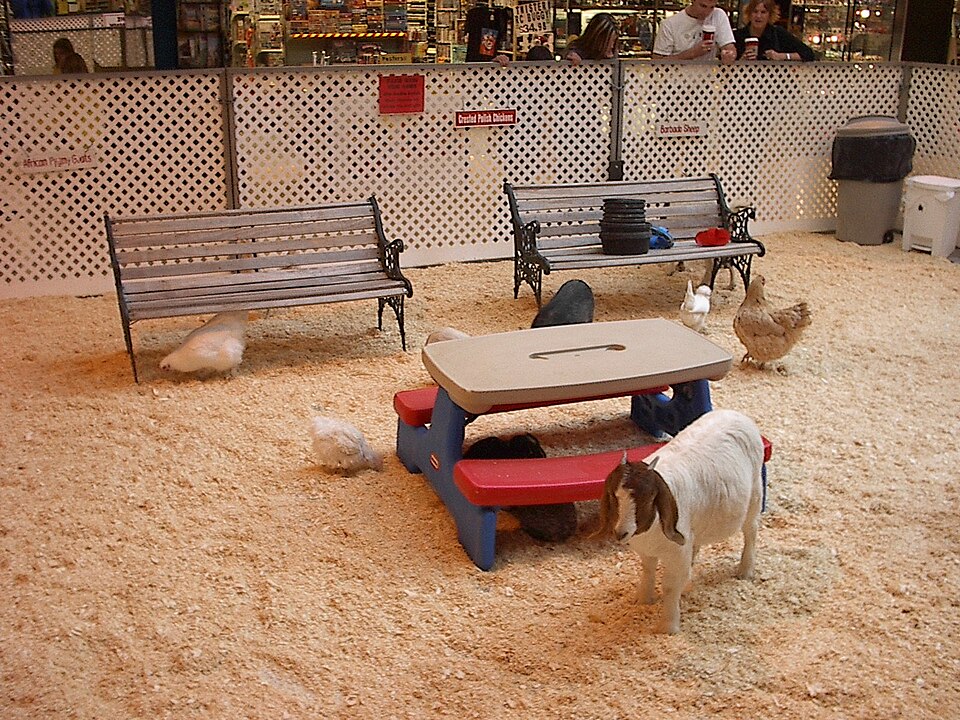 Kinderboerderij Leeuwarden