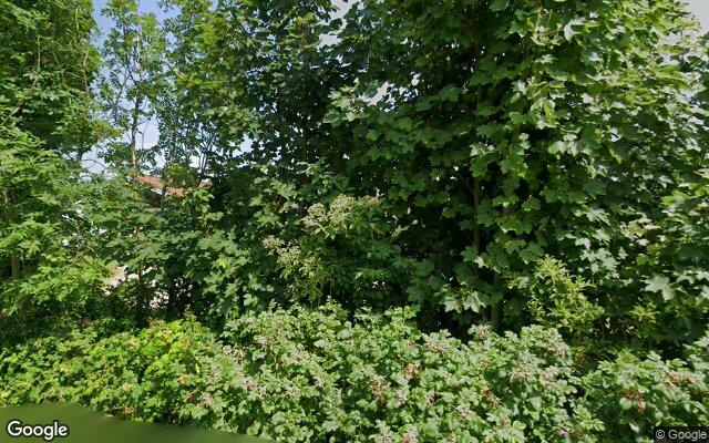 Speeltuin Steedenweg