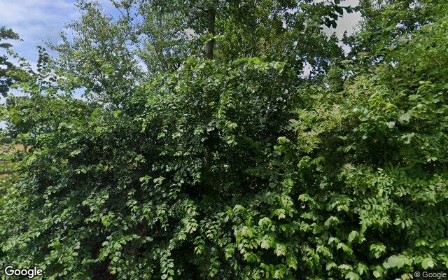 Speeltuin Reeweg