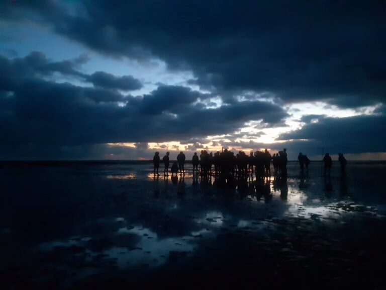 Nachttocht naar Schiermonnikoog (via Brakzand) — Natuur in Friesland