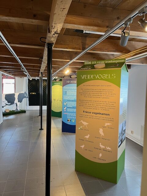 Expositie in Museum It Tsiispakhûs: Molke en Meane — museum-expo in Friesland
