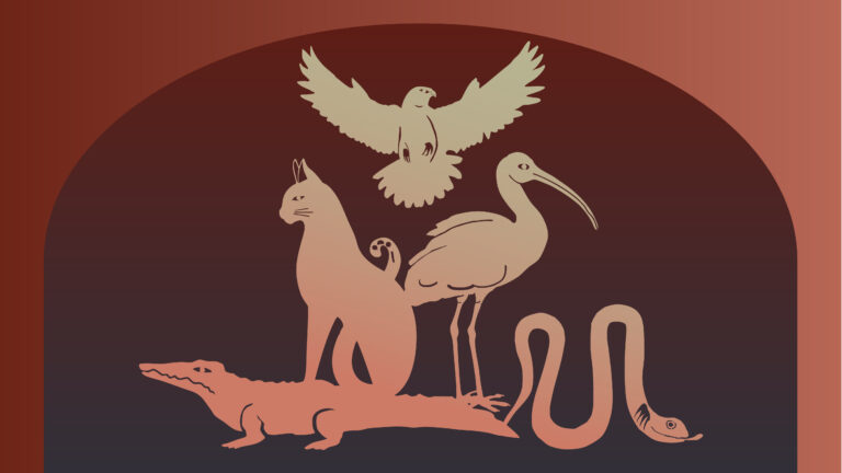Mummie Mysteries — museum-expo in Friesland