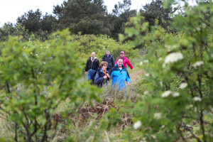 Stilte wandelingen — Natuur in Friesland