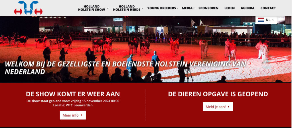 Holland Holstein Show in Friesland
