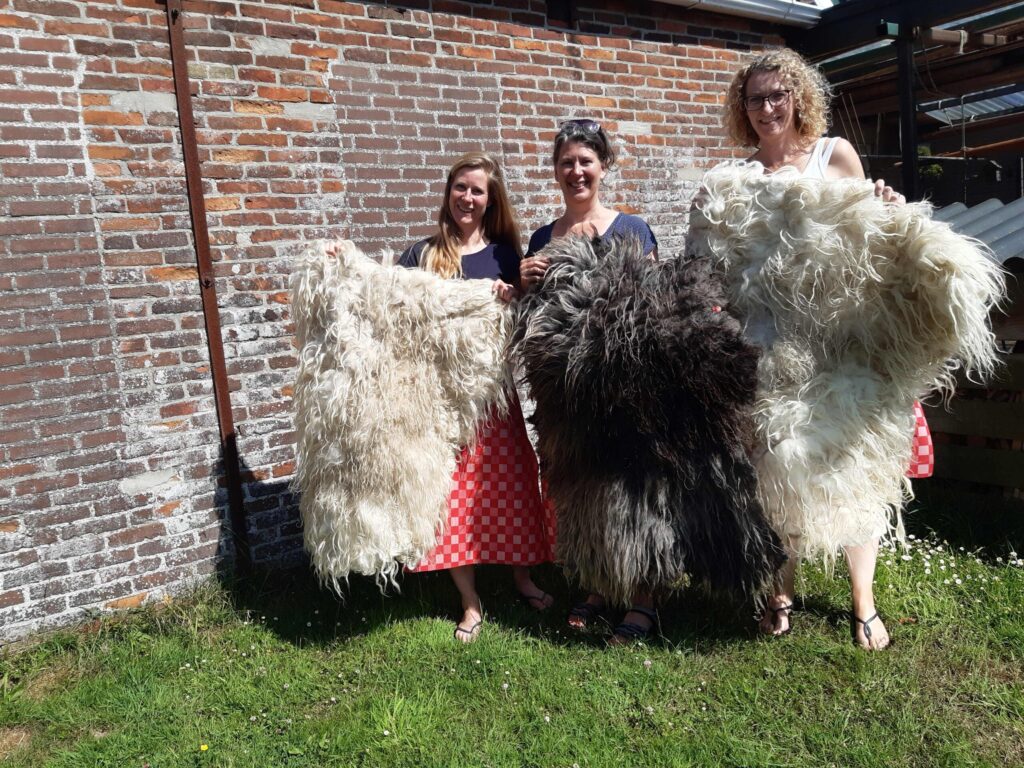 Workshop vachtvilten in Friesland