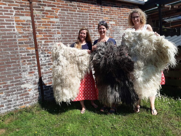 Workshop vachtvilten — open-dag in Friesland