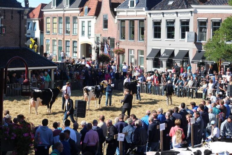 Veekeuringsdag en Stratenconcours — festival in Friesland