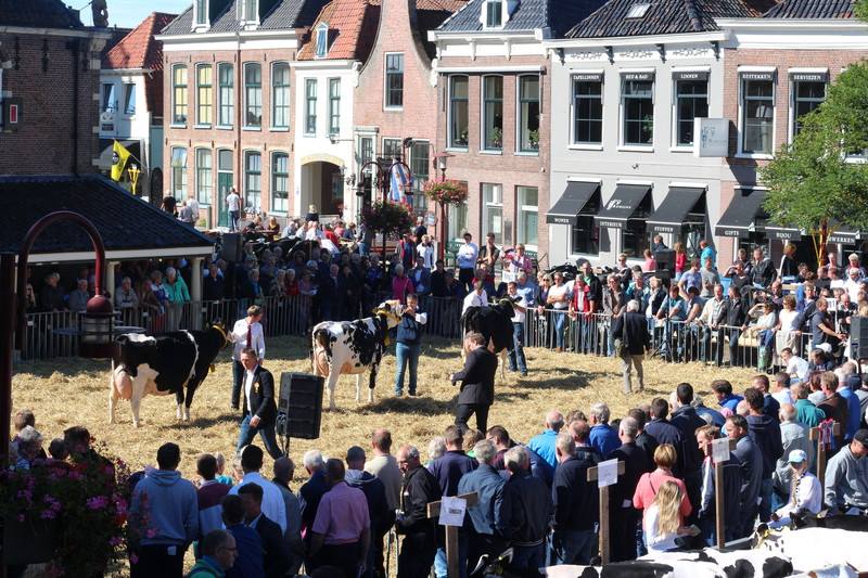 Veekeuringsdag en Stratenconcours in Friesland