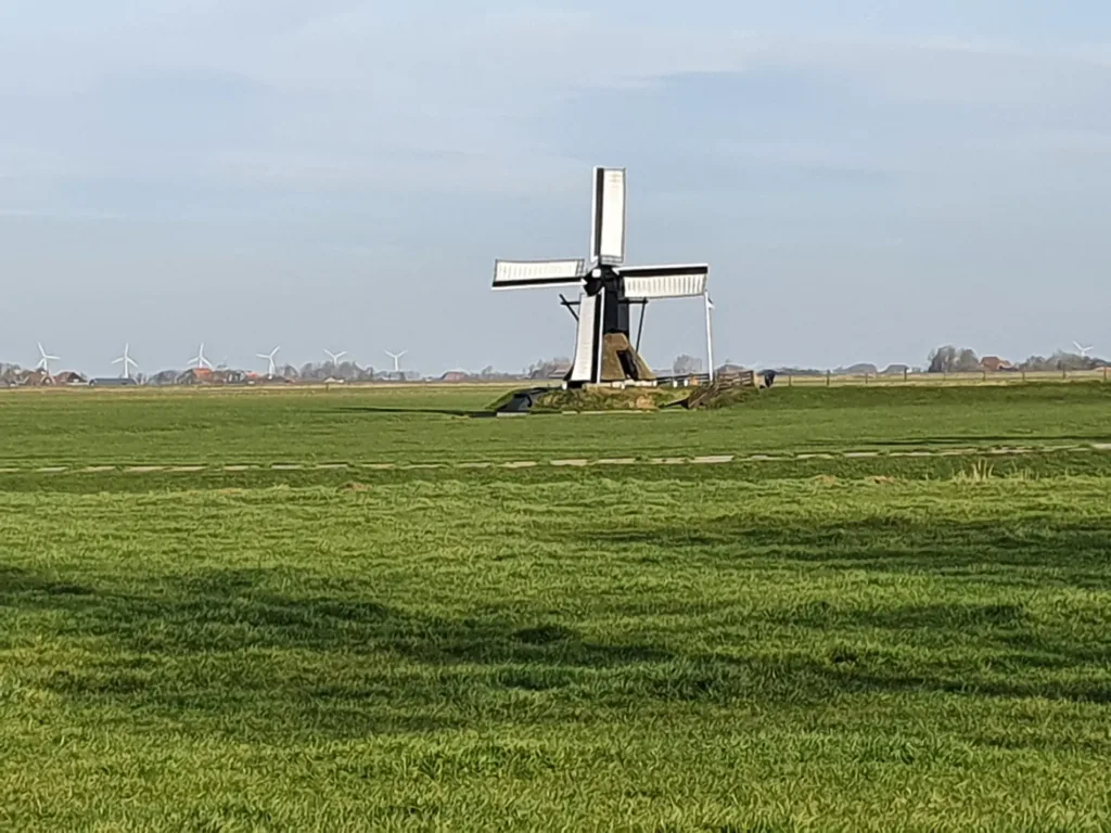 Friese Molendag in Friesland