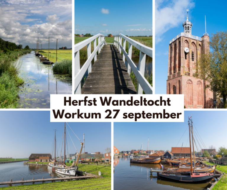 Herfst Wandeltocht Workum — Natuur in Friesland