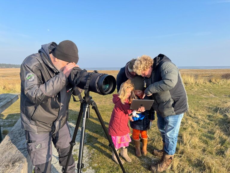 Vogelexpeditie Kroon’s Polders Vlieland met Folkert — Natuur in Friesland