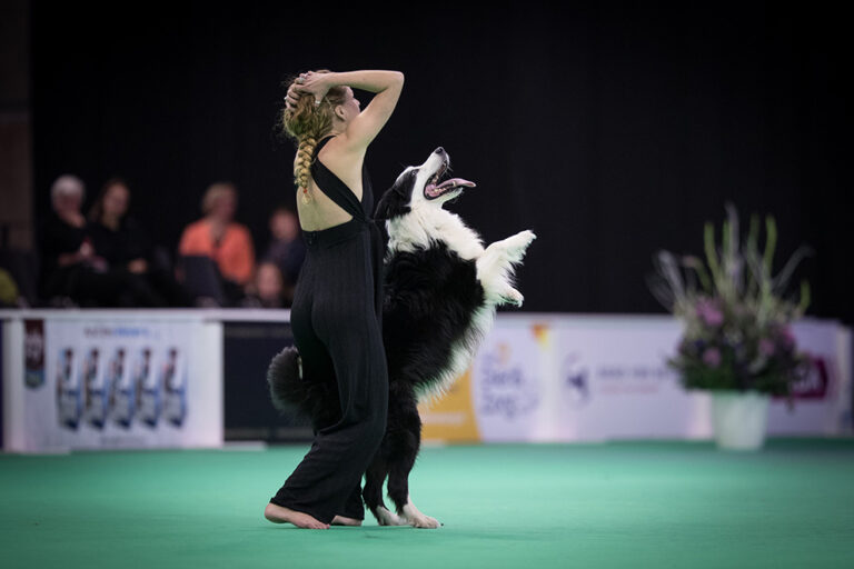 Hond Event — festival in Friesland