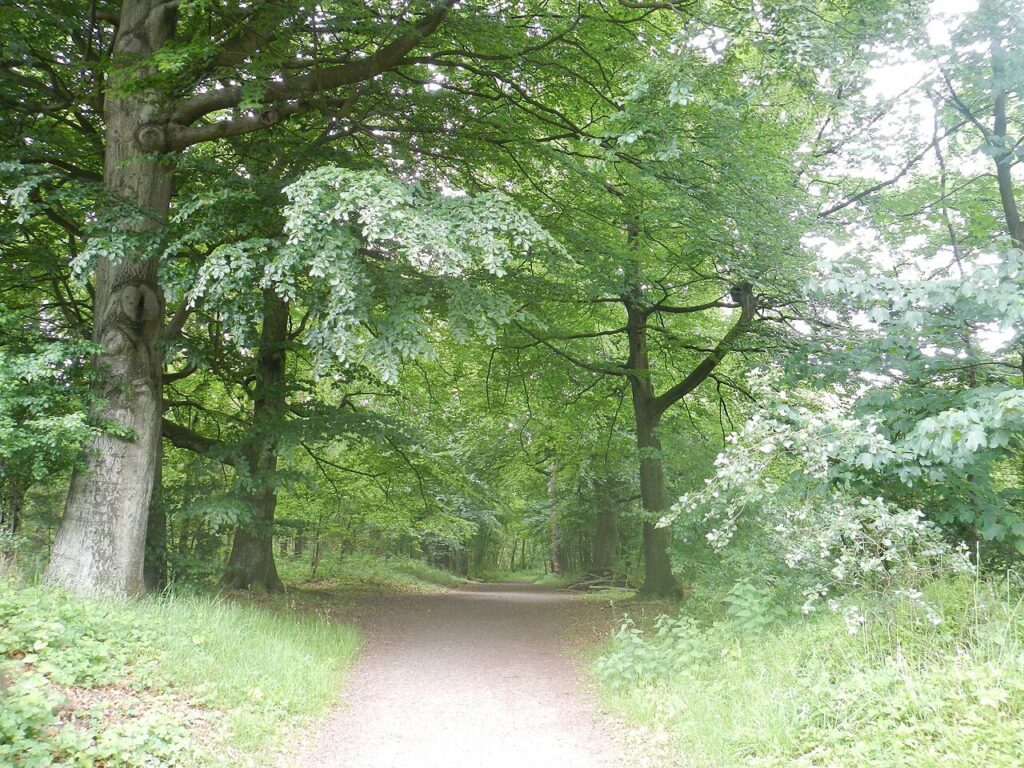 Jachtrit Hemelum in Friesland