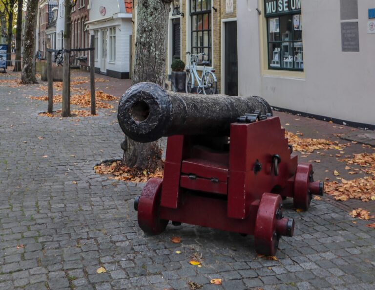 Cultuurhistorische dorpswandeling Jan Houter – November — Natuur in Friesland