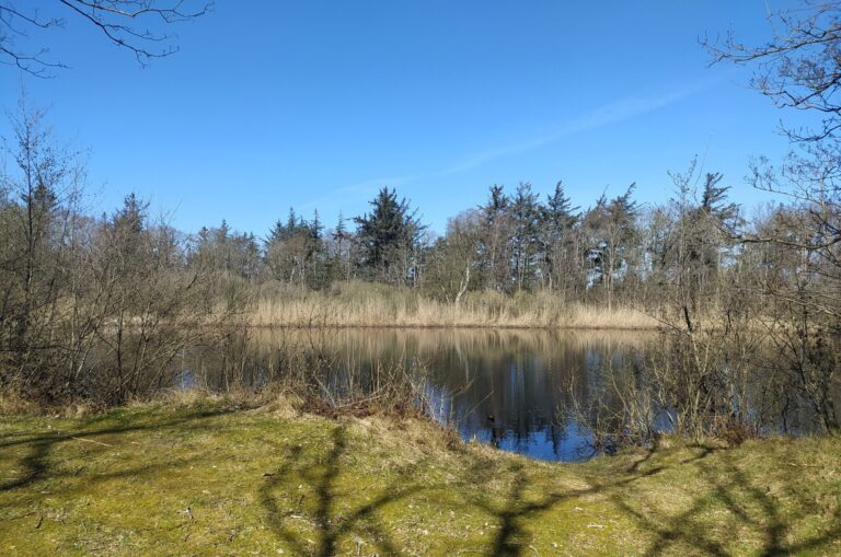 Nieuwe Kooi Excursie – November — Natuur in Friesland