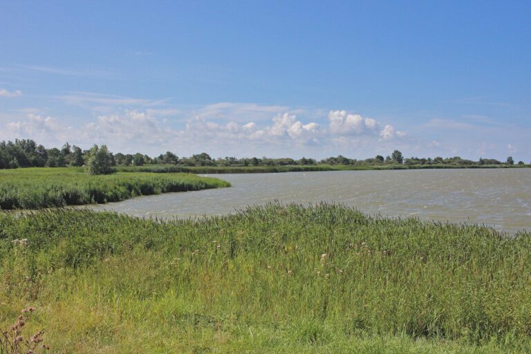 Ontdek de Makkumersúdwaard tijdens een herfstwandeling — Natuur in Friesland