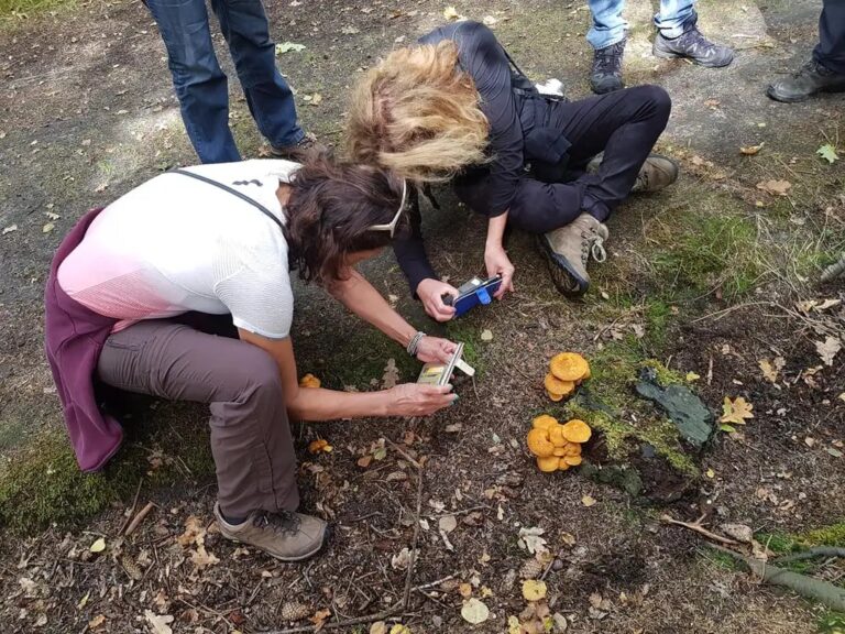 Paddenstoelenexcursie met Sjoukje — Natuur in Friesland