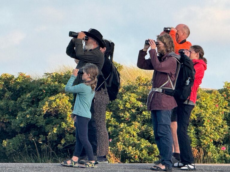 Vogelexpeditie in Kroon’s Polders — Natuur in Friesland