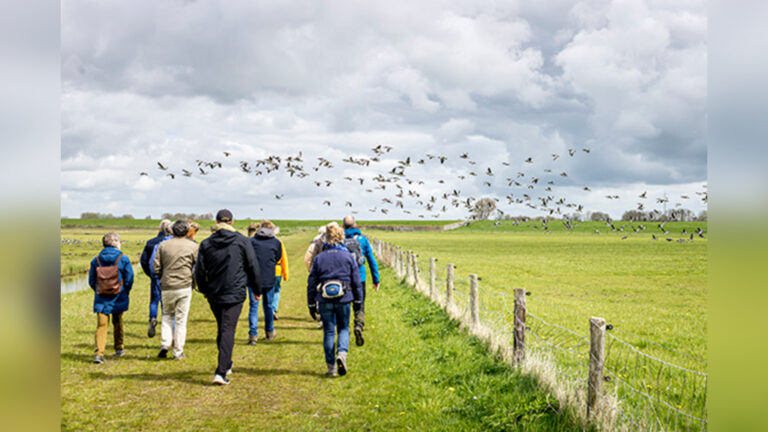 Lezing Nationaal Landschap Zuidwest-Fryslân — lezing in Friesland